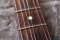 Fender American Professional 2016 Ash Siena Burst (3.6kg)
