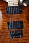 Prs Dustie Waring DW CE24 Burnt Amber Smokeburst 2023 (3.4kg)