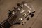 Ibanez AFC151-SRR (2.7kg)