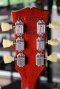 Gibson Lespaul Slash Signature AFD 2010 (4.0kg)
