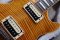 Gibson Lespaul Slash Signature AFD 2010 (4.0kg)