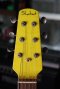 Shabat Lion GB Grafitti Yellow (3.0kg)