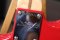 Fender Custom shop Masterbuilt Todd Krause Eric Clapton Dokata Red 2021 (3.6kg)
