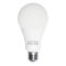 SHINING LED Bulb 15W Daylight, Warm White