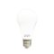 SHINING LED Bulb 12W Cool White