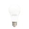 LED A-Bulb 12W 6500K