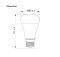 TOSHIBA LED Bulb High-Lumen Pack4 10W
