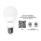 SHINING LED Bulb 12W Cool White