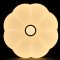 LED Ceiling Lamp Primrose 50W 3-Step Colour Click