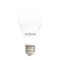 SHINING LED Bulb 12W Daylight, Warm White, Cool White