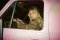Sabrina Carpenter ปล่อยเอ็มวี "House Tour" ชวนแก๊งเพื่อนสาวสวยแสนซนถล่มคฤหาสน์หรู อุ่นเครื่องก่อนจัดเต็มกับโชว์สุดพิเศษใน Coachella สุดสัปดาห์นี้