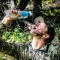 BeFree เครื่องกรองน้ำพกพา Water Filtration System