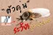 ตัวคุ่น วิธีป้องกันสำหรับนักเดินป่า ถูกกัดแล้วทำอย่างไร