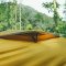 Fire Maple เต็นท์เดินป่า Tropics 2 Tent + Footprint