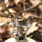 Fire Maple เตาเดินป่า Torch Gas Stove