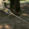 Naturehike เชือกเอนกประสงค์ cotton wind rope 3.5MM*30M (1ม้วน)