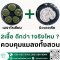 2เชื้อ #เมธาไรเซียม #บิวเวอเรีย ดีกว่า 1จริงไหม? ควบคุมแมลงทั้งสวน